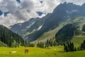 KashmirValley - Germirli