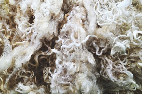 alpaka yun - Germirli